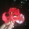 givingforyou123