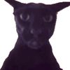 real_evil_larry