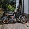 yansky24_