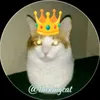 tiktok.com12345678a