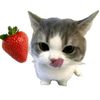 itsmmnd