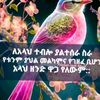 hayte.mohammed6