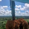 92_borneo