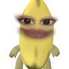 lt_piyoll