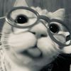 wa_iuddin