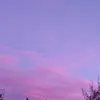 patykowav2