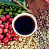 baranto.abaseruraya.com