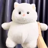 vinh_950221