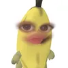 jdhabd