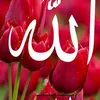 user5932292843700