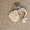inanima0