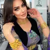 shelin_jan