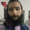 wolfbearhybrid