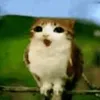 s4qe_