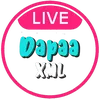 _dapzz15