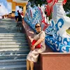 hoa.mai338