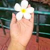 shirinmunni0