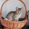 melilife2