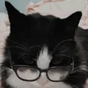pinguu6969