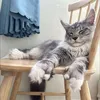 dkhoi_ne