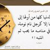 yara.mohamed2631