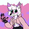 sol_foxnwn
