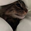 softservesandy