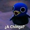 anael_mald