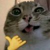 fatmaezzhra__tayari