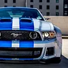 markus7shelbymustang