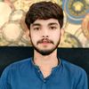 chzainmalik804