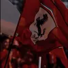 ferrari_fan1232