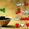 fatimafatima12315