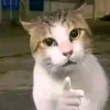 posey_tyt_posey_kleen001