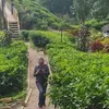 sriwati_76