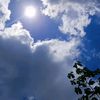 my_moon_801