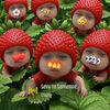 payrtic6