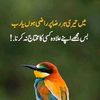 tanya.khan867