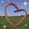 focus_synii