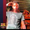 graeiis_durko