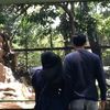 ekaliaput