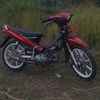 adhelia541