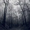 dark_is_love