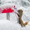 anna_1235567890
