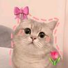 hasna_.a4