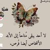 user85263553313557