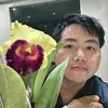 phat_darius
