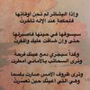hammody3565