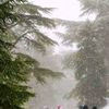 mohamedbadoud362