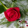 user5867315017794